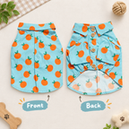 Sweet Citrus Button-Up Dog Shirt