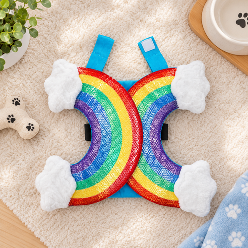 Rainbow Cloud Pet Costume