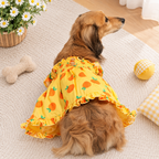 Sweet Citrus Ruffle Dog Dress