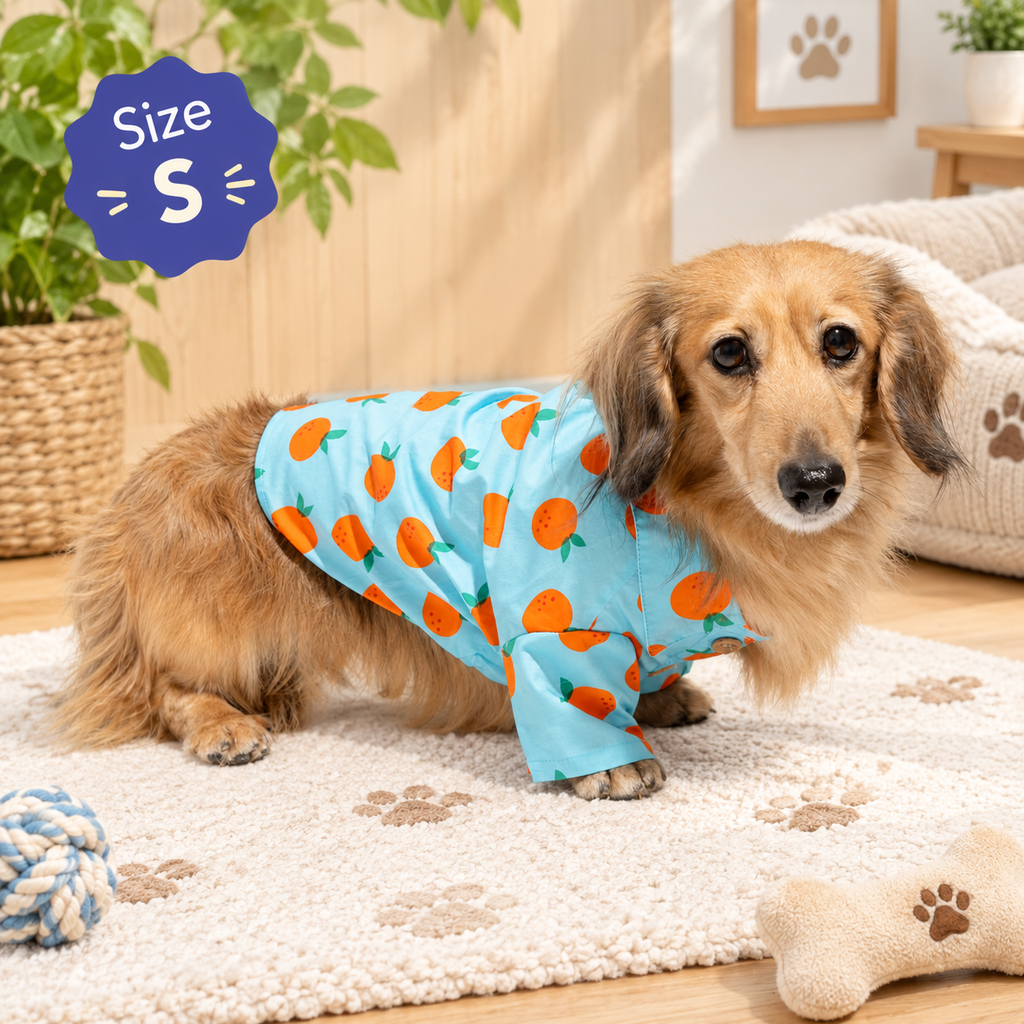 Sweet Citrus Button-Up Dog Shirt