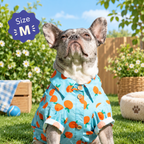 Sweet Citrus Button-Up Dog Shirt