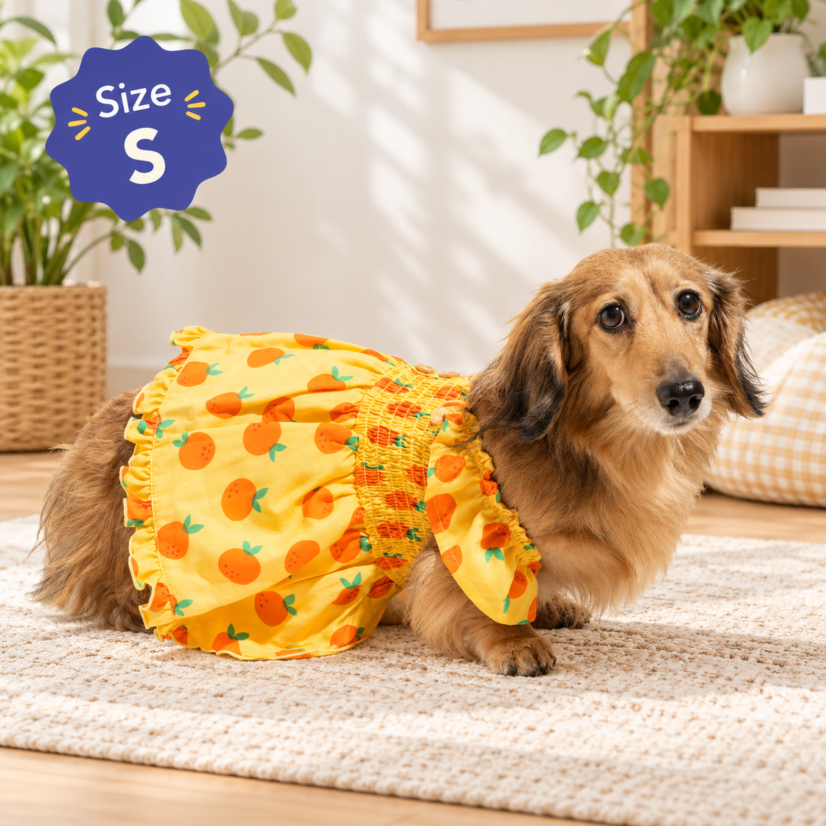 Sweet Citrus Ruffle Dog Dress
