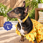 Sweet Citrus Ruffle Dog Dress